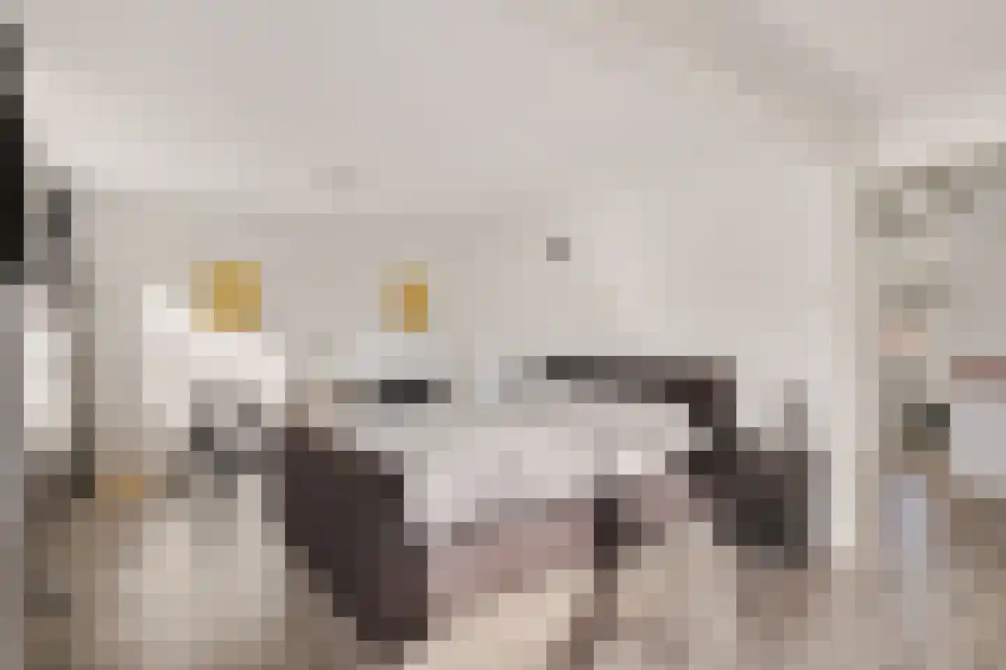 Azaleaweg 4 Paterswolde thumbnail 33