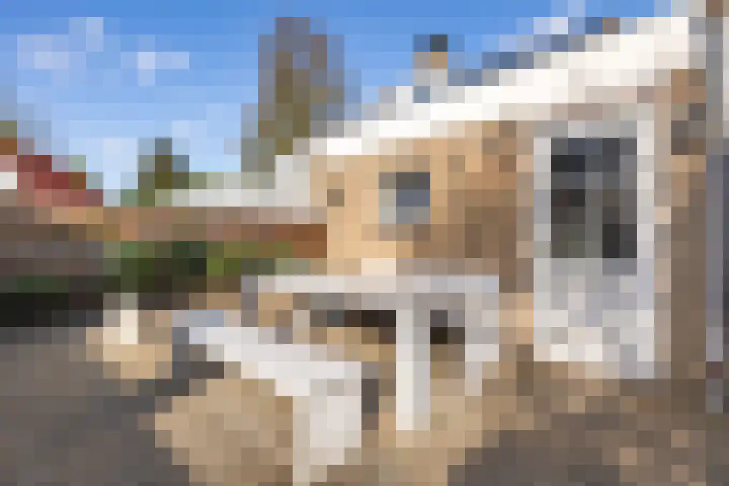 Azaleaweg 4 Paterswolde thumbnail 37