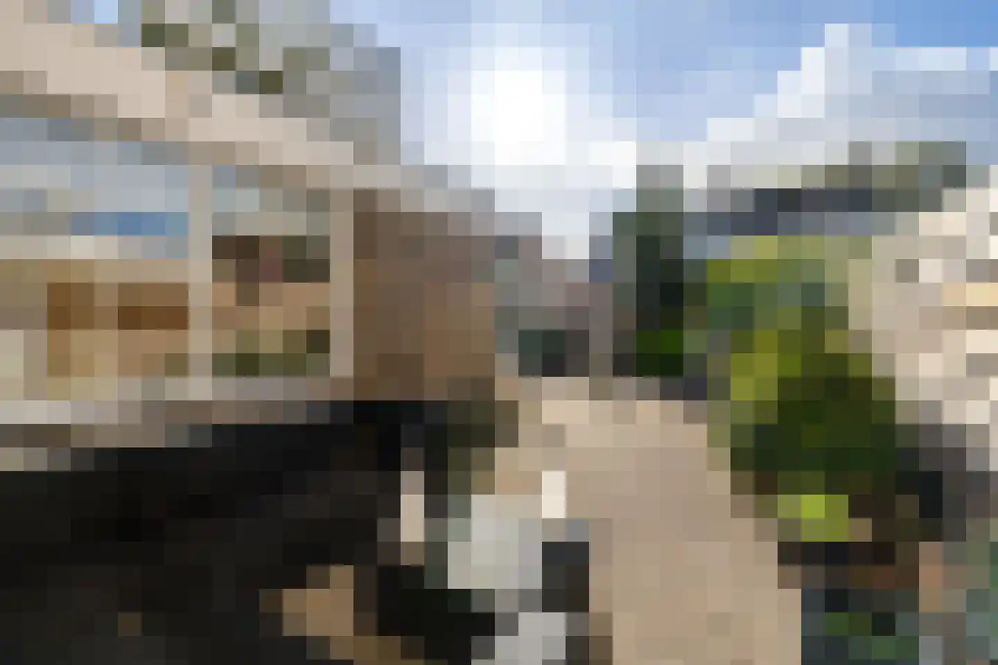 Azaleaweg 4 Paterswolde thumbnail 41