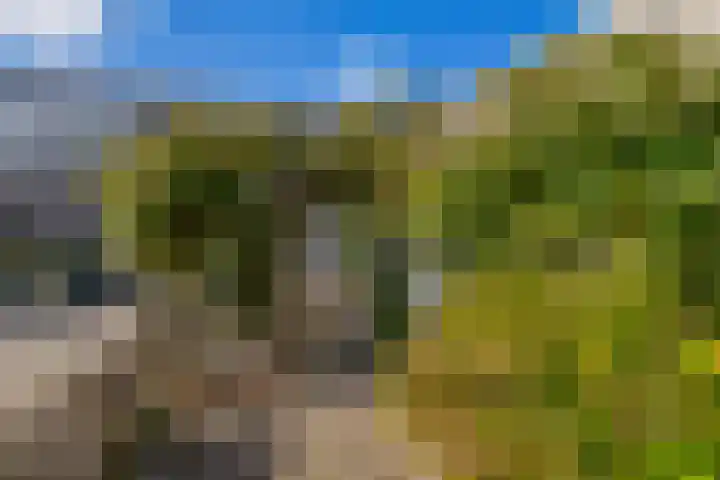 Azarooldoorn 12 Rotterdam thumbnail 11