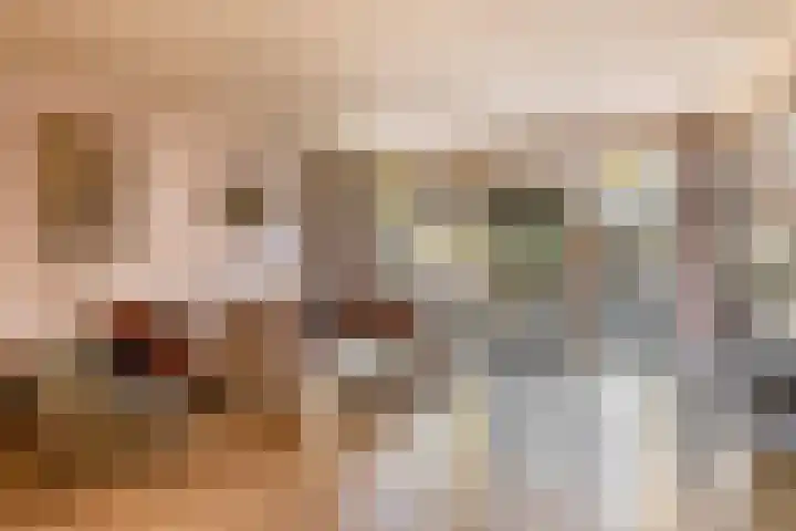 Azarooldoorn 12 Rotterdam thumbnail 13