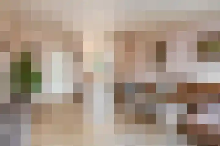 Azarooldoorn 12 Rotterdam thumbnail 14