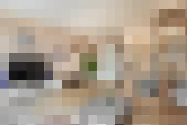 Azarooldoorn 12 Rotterdam thumbnail 16