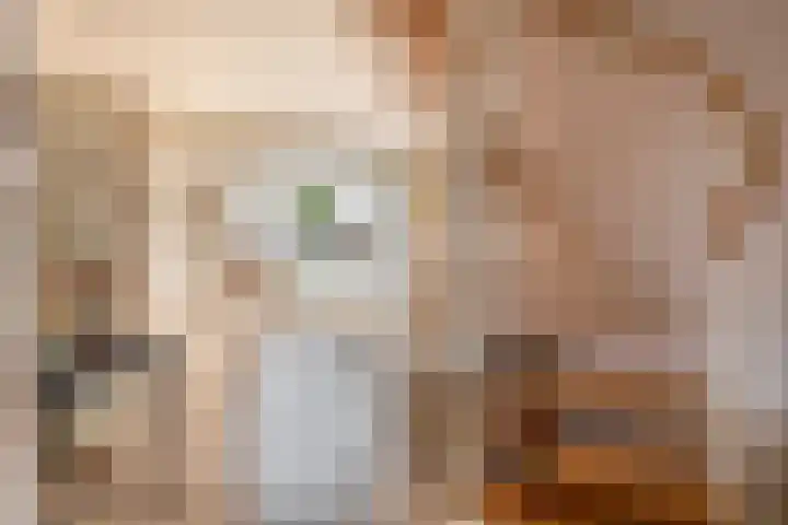 Azarooldoorn 12 Rotterdam thumbnail 17