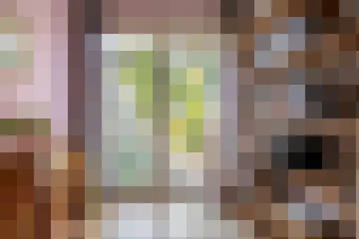 Azarooldoorn 12 Rotterdam thumbnail 18
