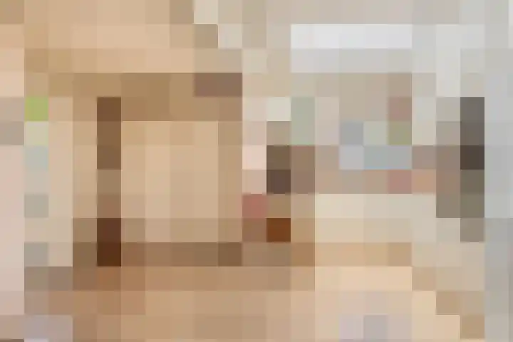 Azarooldoorn 12 Rotterdam thumbnail 20