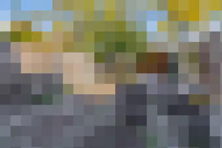 Azarooldoorn 12 Rotterdam thumbnail 24