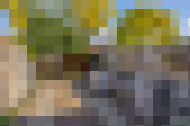 Azarooldoorn 12 Rotterdam thumbnail 25