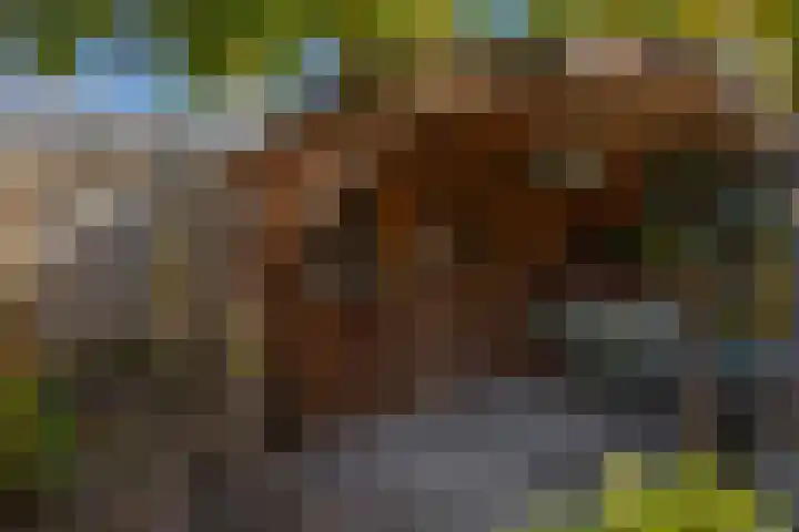 Azarooldoorn 12 Rotterdam thumbnail 26