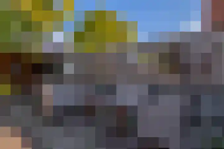 Azarooldoorn 12 Rotterdam thumbnail 28
