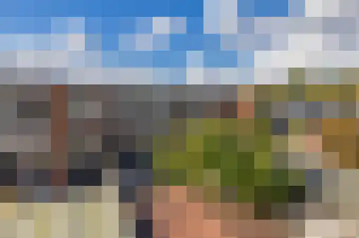 Azarooldoorn 12 Rotterdam thumbnail 29