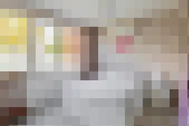 Azarooldoorn 12 Rotterdam thumbnail 30