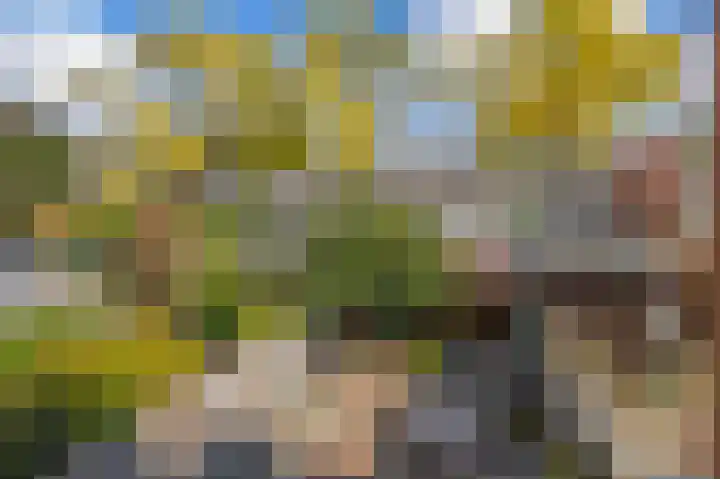 Azarooldoorn 12 Rotterdam thumbnail 4