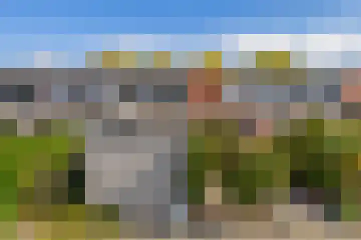 Azarooldoorn 12 Rotterdam thumbnail 6