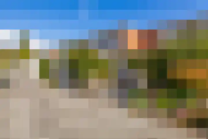 Azarooldoorn 12 Rotterdam thumbnail 7