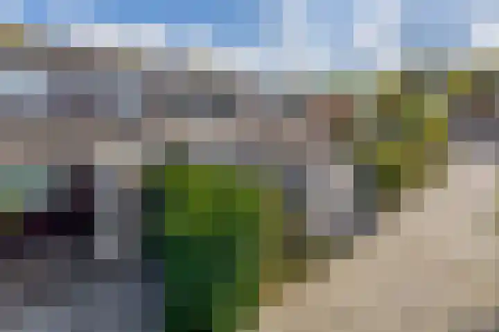 Azarooldoorn 12 Rotterdam thumbnail 8
