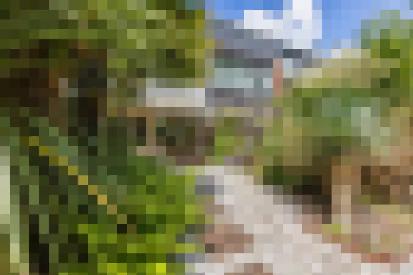 Azarooldoorn 40 Rotterdam thumbnail 11