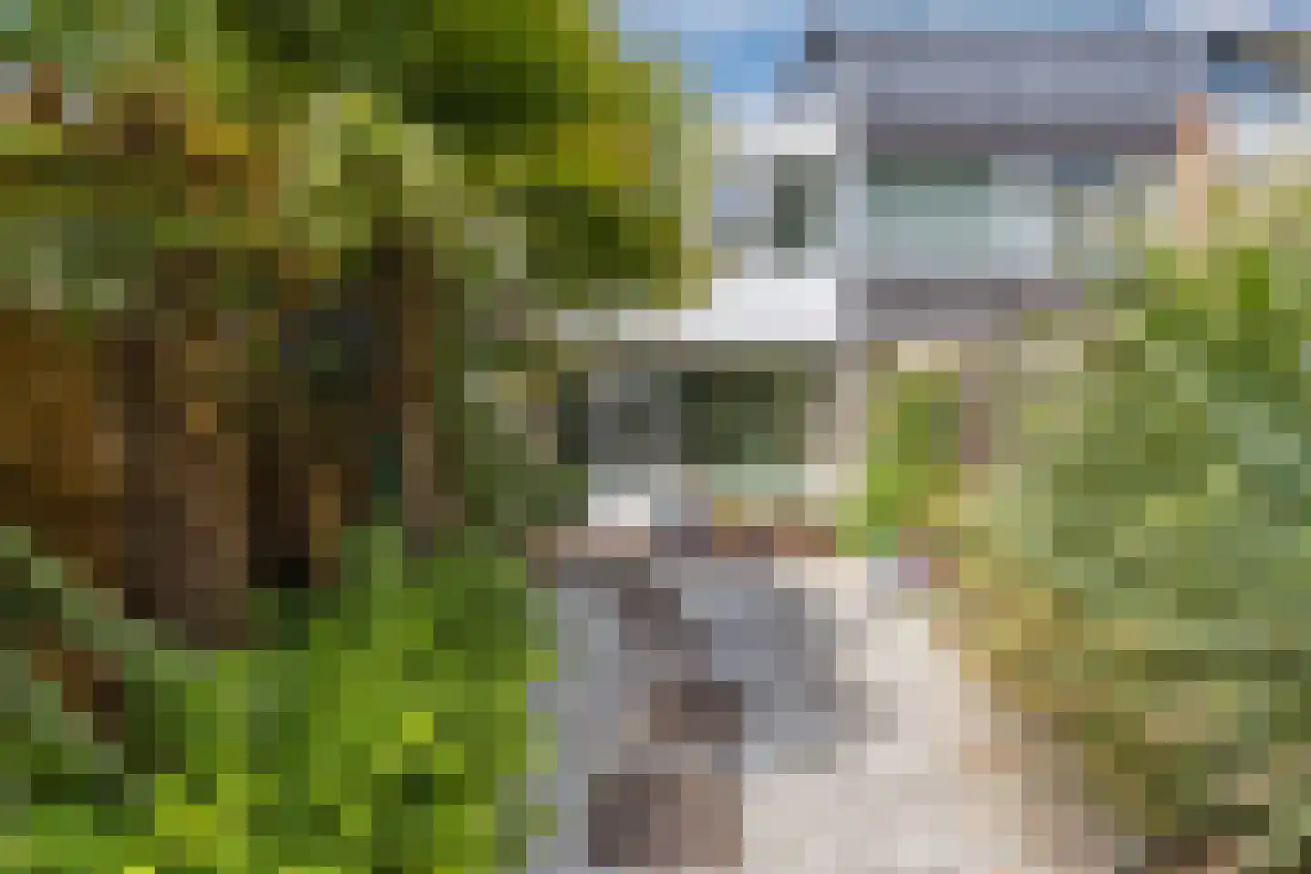 Azarooldoorn 40 Rotterdam thumbnail 12
