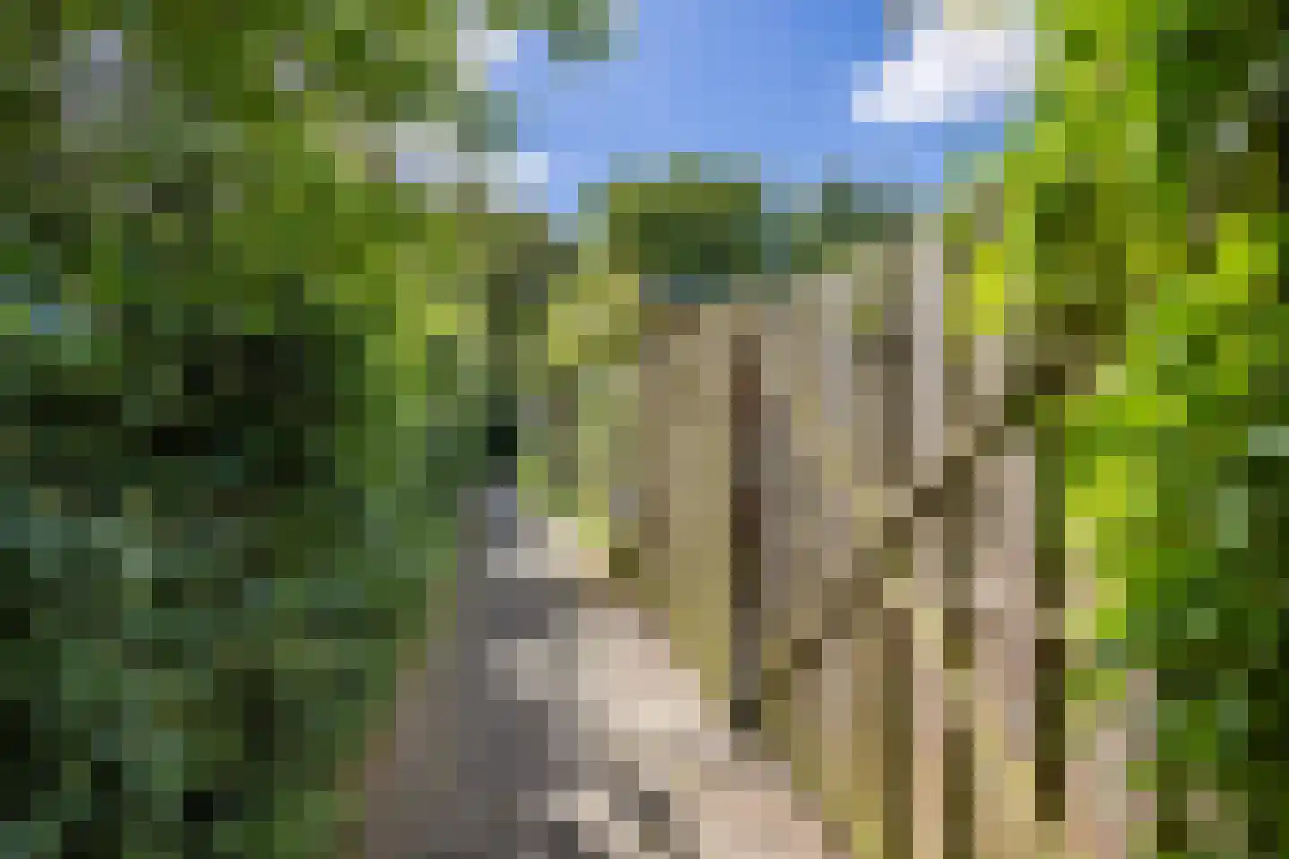 Azarooldoorn 40 Rotterdam thumbnail 13