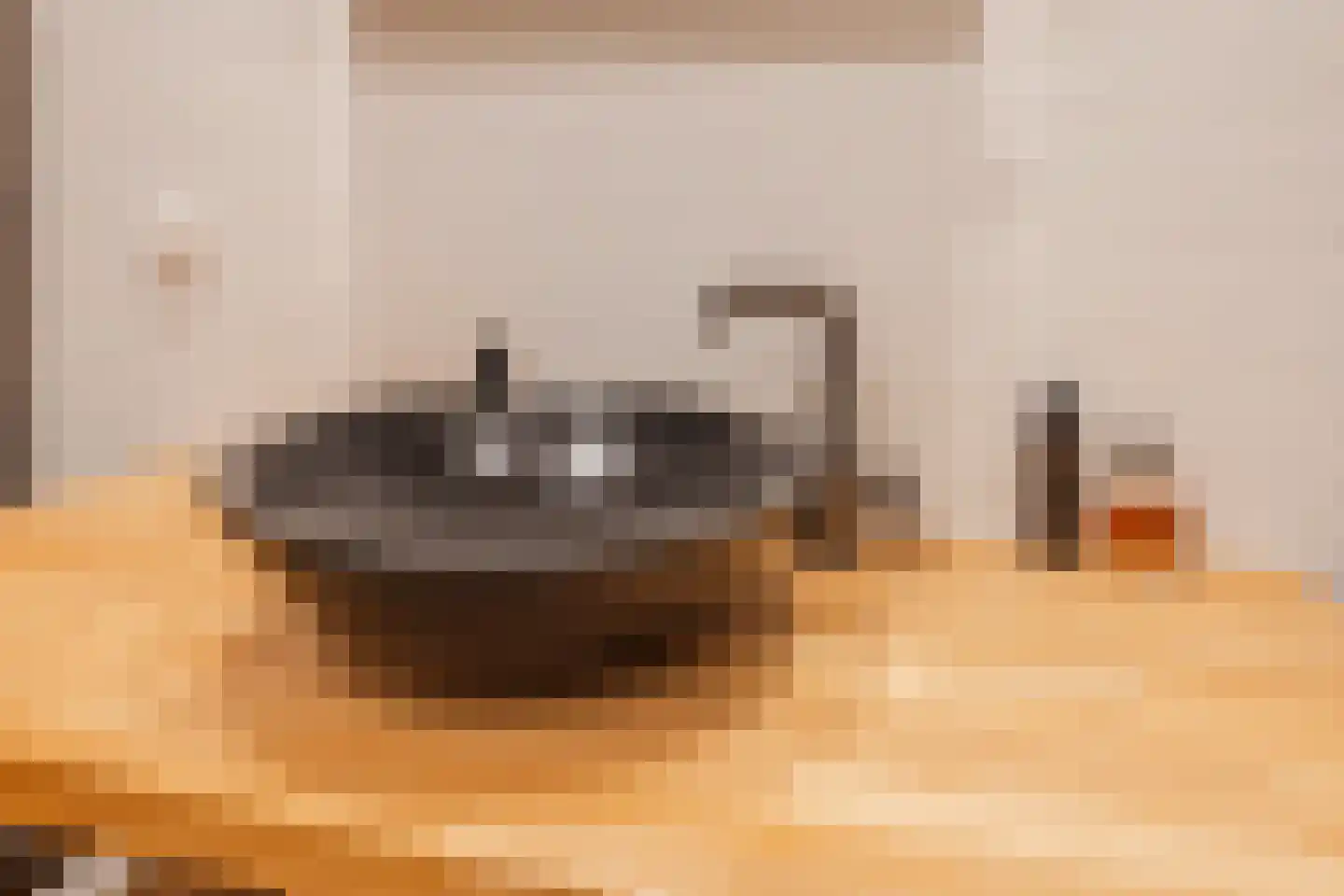 Azarooldoorn 40 Rotterdam thumbnail 35