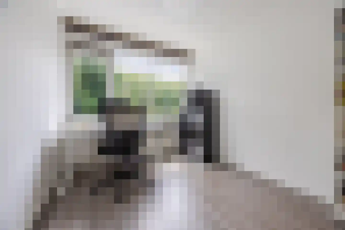 Azarooldoorn 40 Rotterdam thumbnail 36