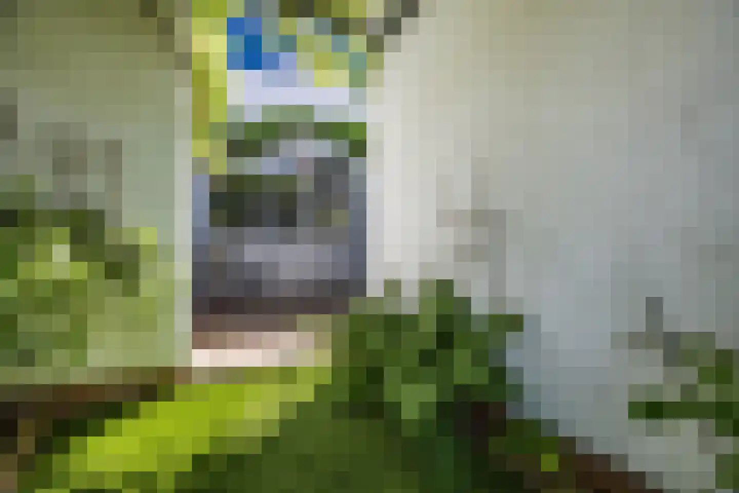 Azarooldoorn 40 Rotterdam thumbnail 40