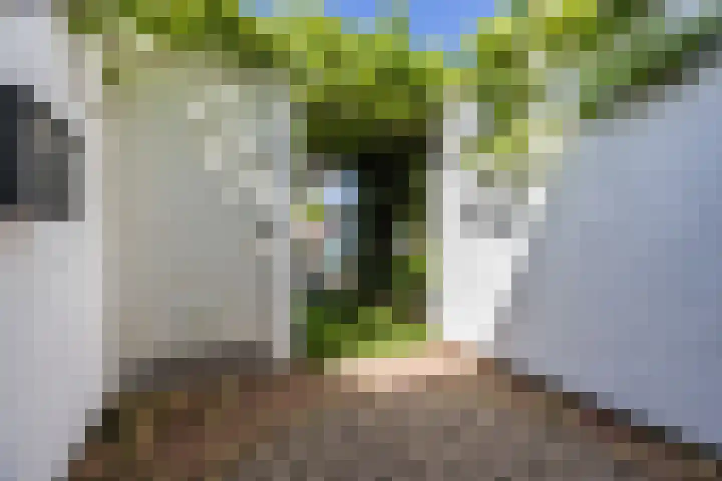Azarooldoorn 40 Rotterdam thumbnail 41