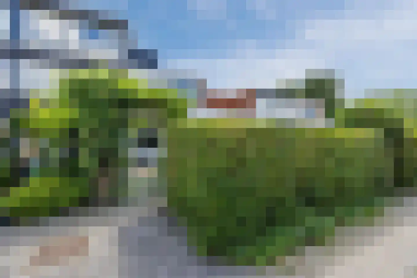 Azarooldoorn 40 Rotterdam thumbnail 42