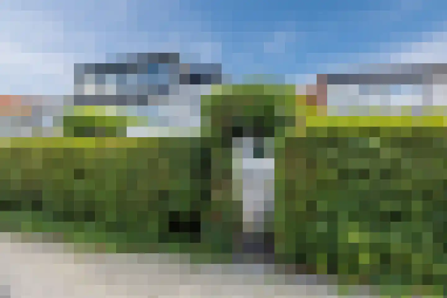Azarooldoorn 40 Rotterdam thumbnail 44