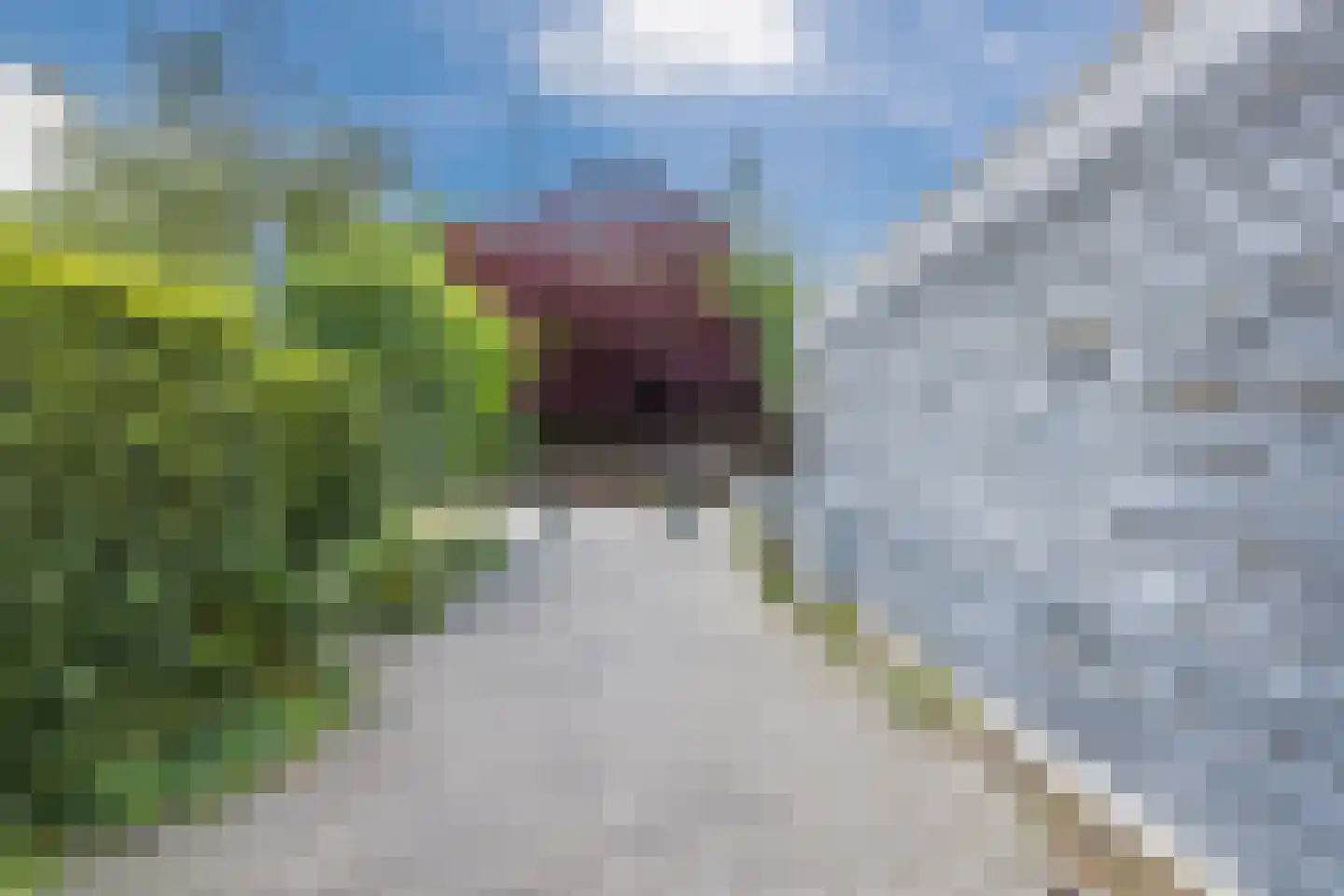 Azarooldoorn 40 Rotterdam thumbnail 48