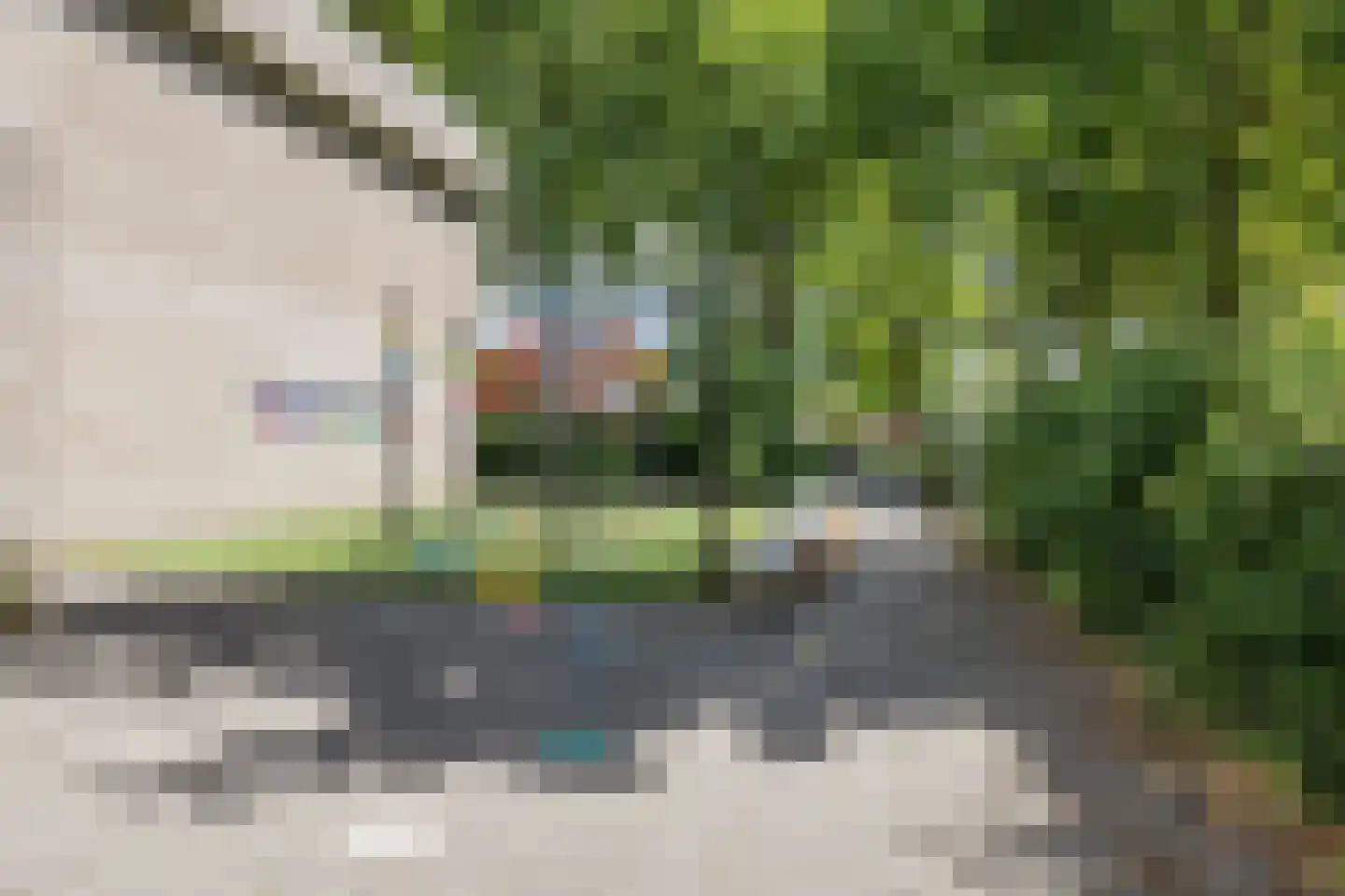 Azarooldoorn 40 Rotterdam thumbnail 49