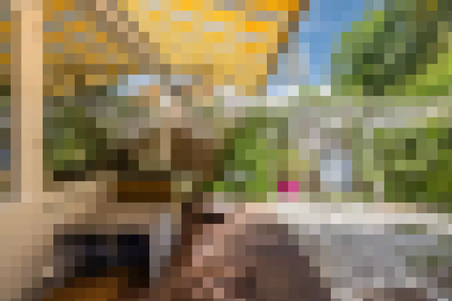 Azarooldoorn 40 Rotterdam thumbnail 5