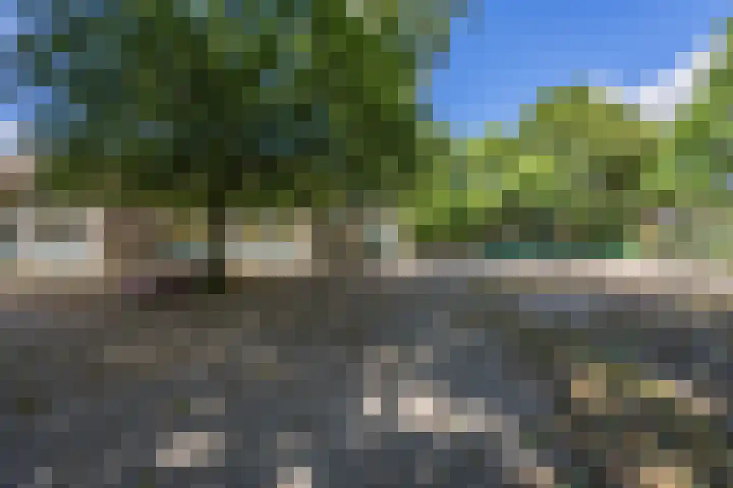 Azarooldoorn 40 Rotterdam thumbnail 50
