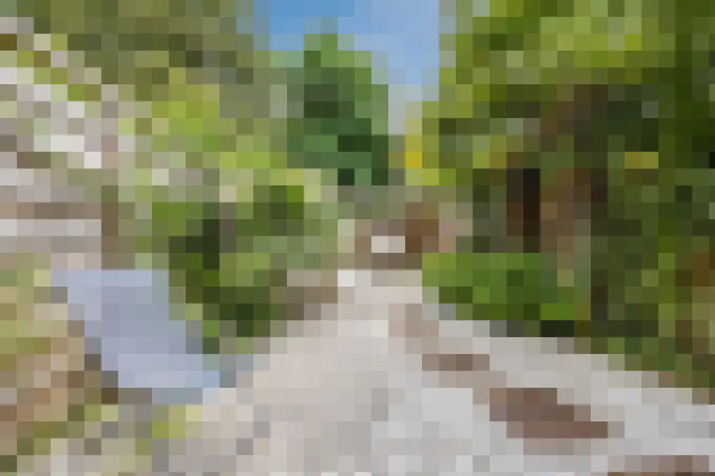 Azarooldoorn 40 Rotterdam thumbnail 6