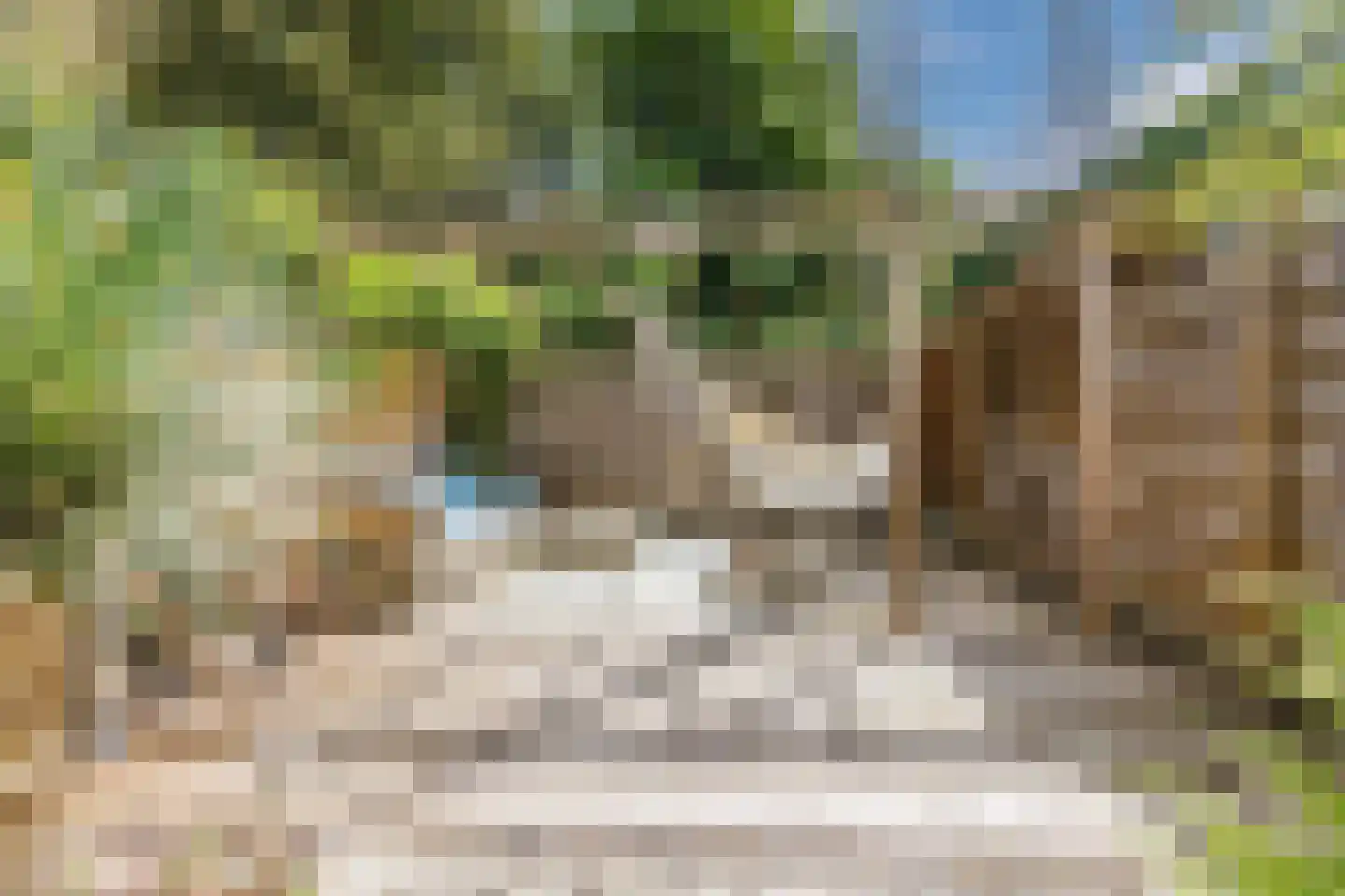 Azarooldoorn 40 Rotterdam thumbnail 7