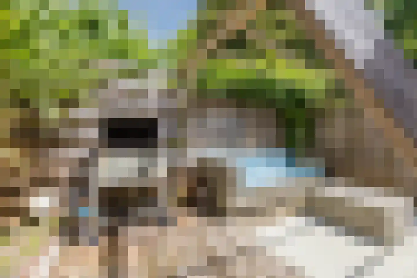 Azarooldoorn 40 Rotterdam thumbnail 8