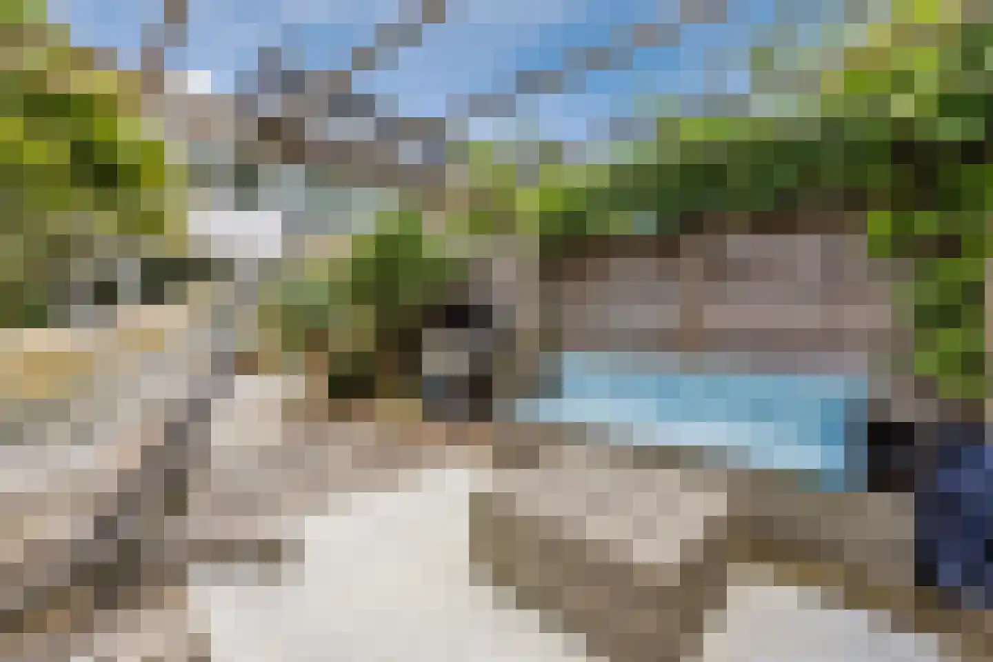 Azarooldoorn 40 Rotterdam thumbnail 9