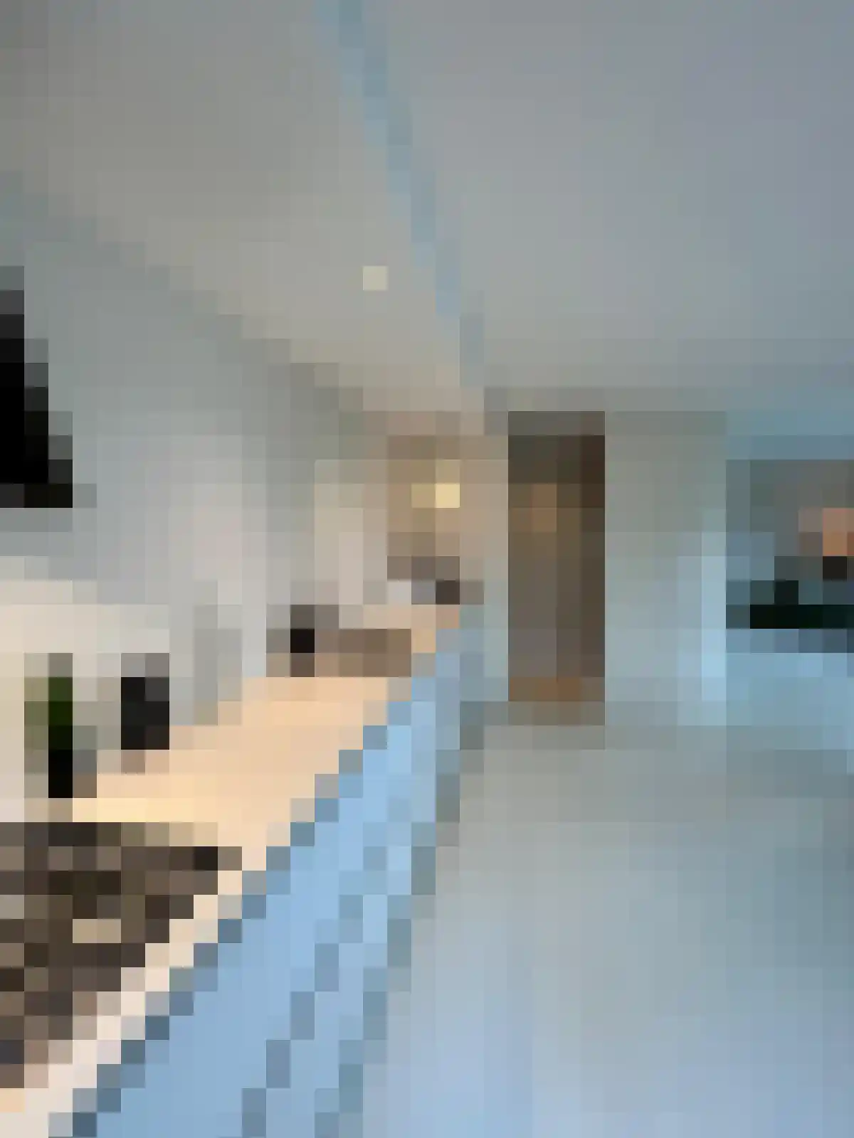 Azartplein 121 Amsterdam thumbnail 6