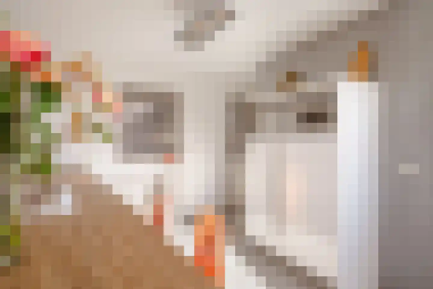 Azartplein 51 Amsterdam thumbnail 12