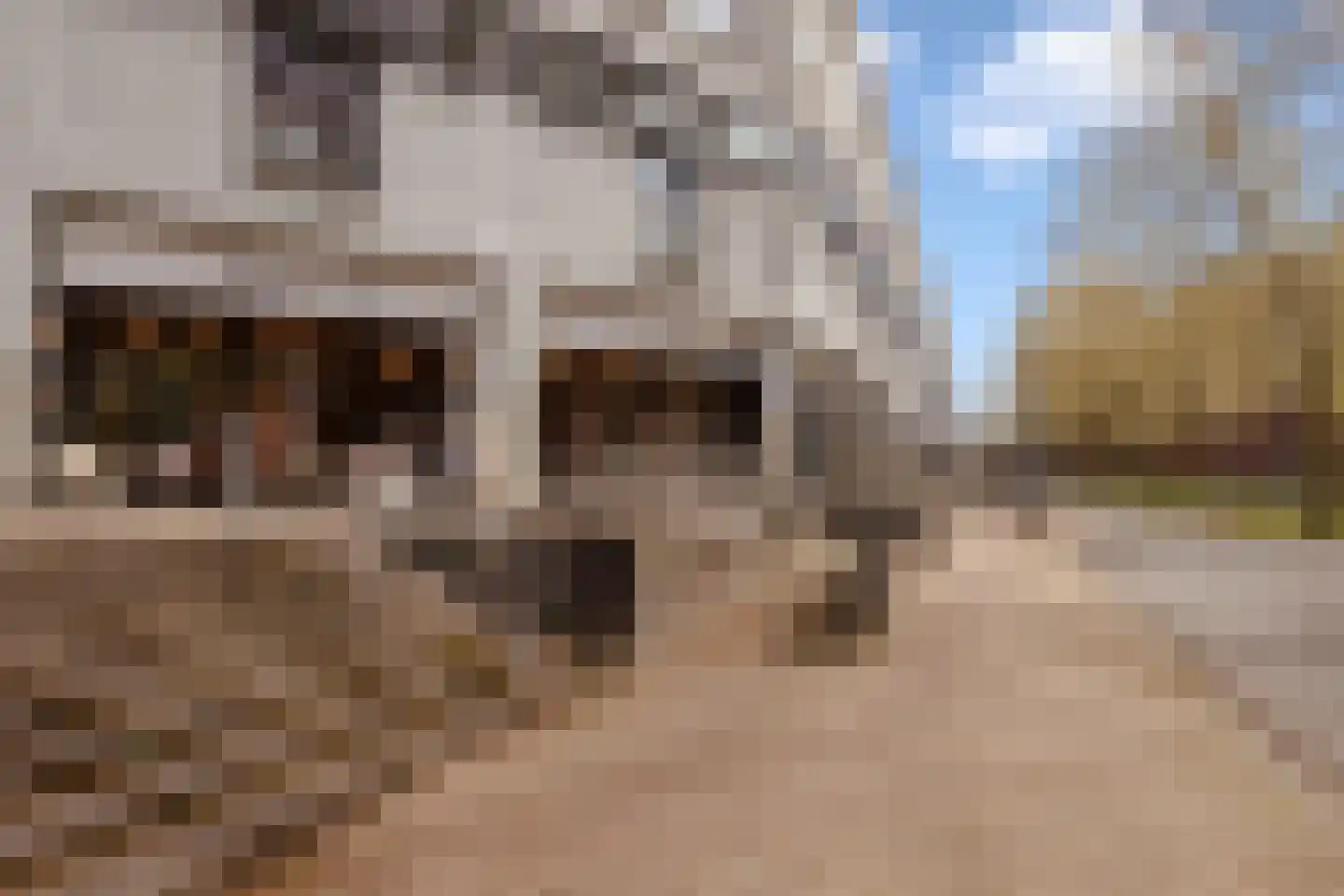 Azartplein 51 Amsterdam thumbnail 33