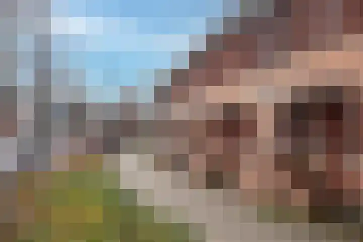 Azelosestraat 13 b Borne thumbnail 5