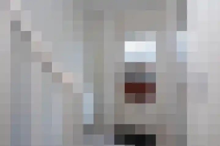 Azelosestraat 13 b Borne thumbnail 6