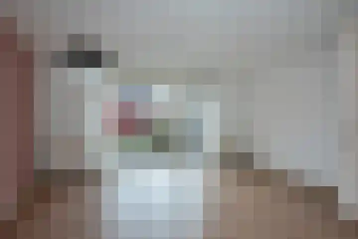 Azelosestraat 13 b Borne thumbnail 9
