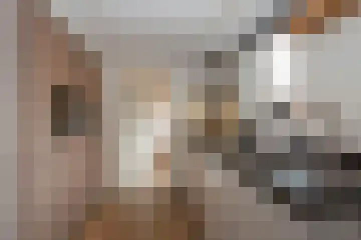 Azelosestraat 64 Borne thumbnail 10