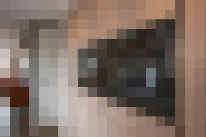 Azelosestraat 64 Borne thumbnail 16