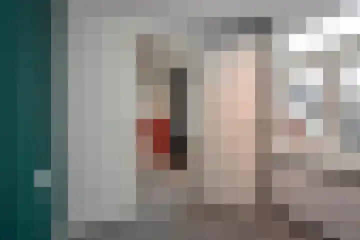 Azelosestraat 64 Borne thumbnail 21