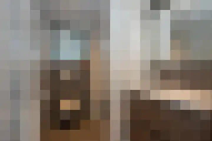 Azelosestraat 64 Borne thumbnail 22