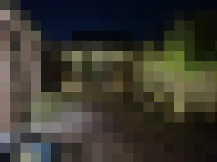 Azelosestraat 64 Borne thumbnail 30