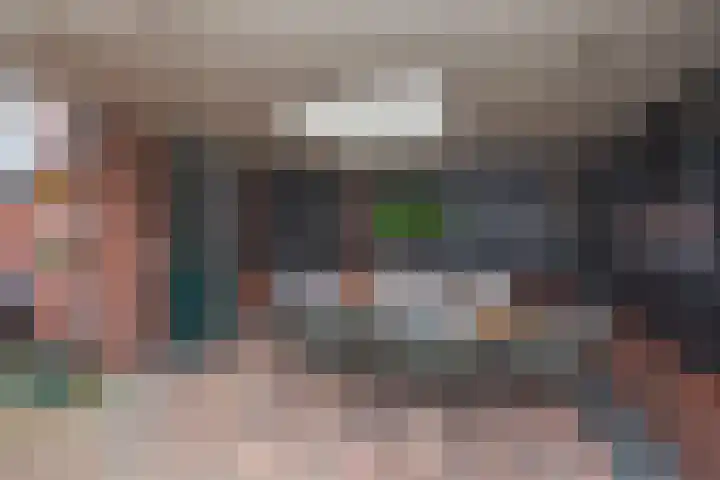 Azelosestraat 64 Borne thumbnail 31