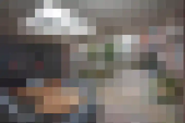 Azelosestraat 64 Borne thumbnail 32